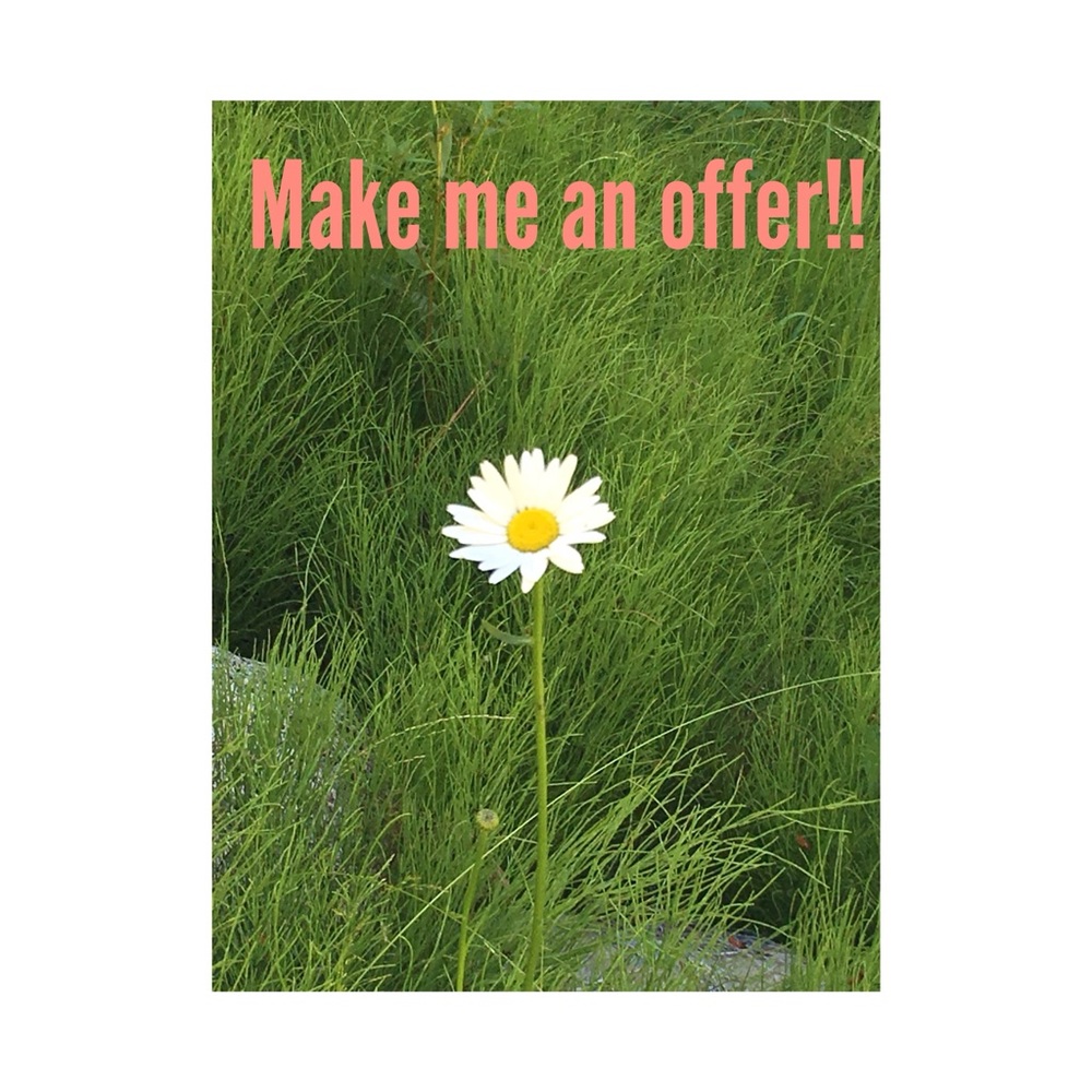 We entertain all offers!